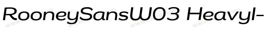 RooneySansW03 HeavyI字体转换